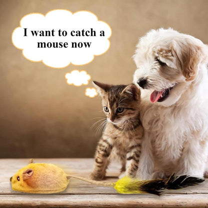 Interactive USB-Rechargeable LED Mouse Toy — Automatic Moving, Chirping & Feather Tail Cat Toy for All Breeds