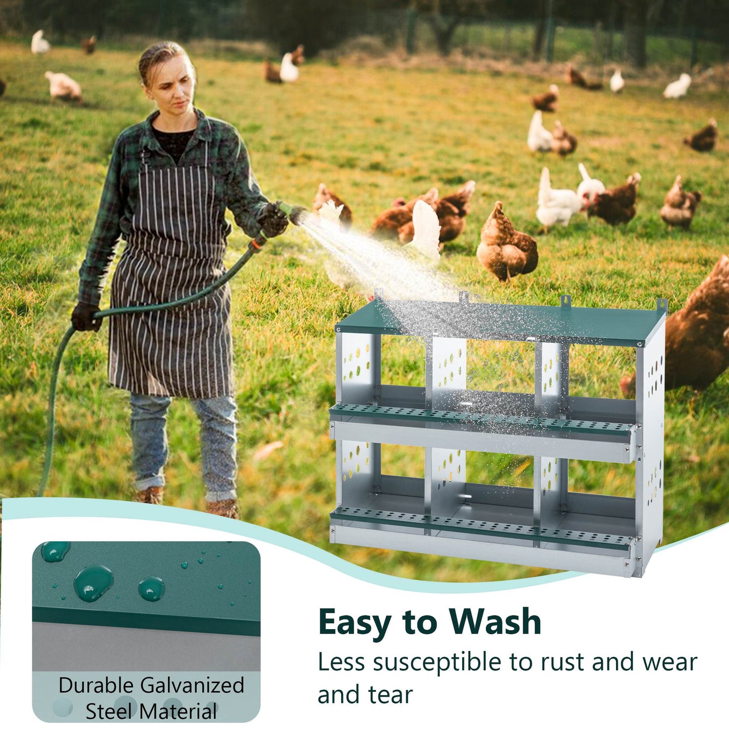 6-Compartment Chicken Nesting Box – Galvanized Poultry Nest Box for Small & Medium Flocks