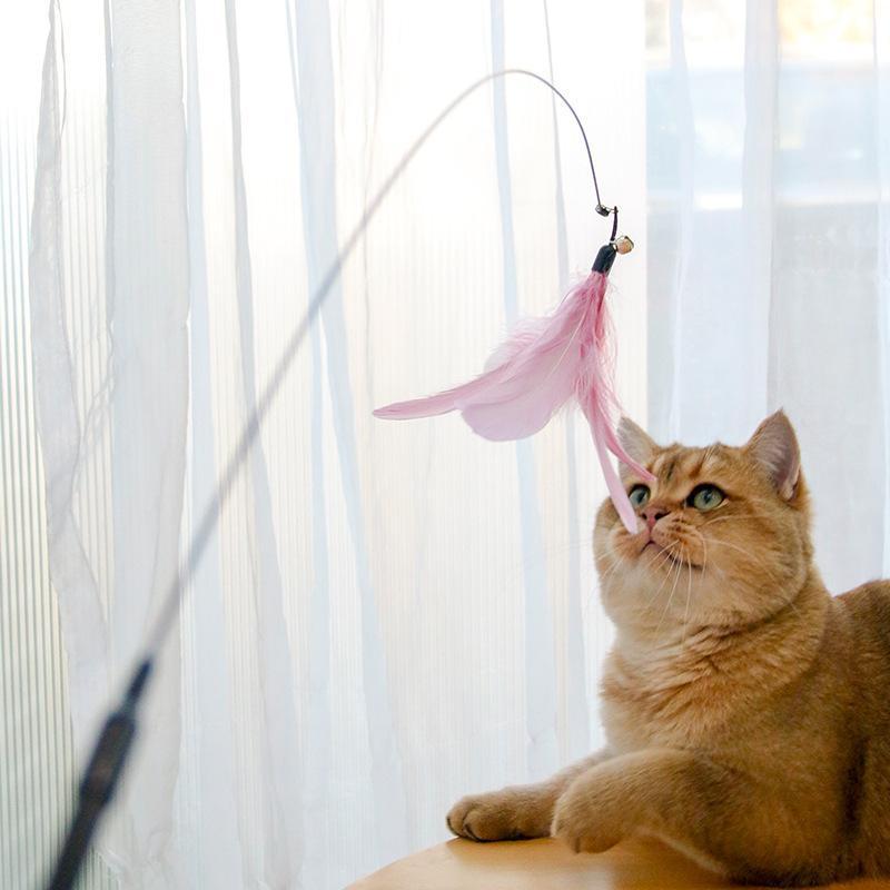 Retractable Laser Cat Stick Toy — Safe Interactive Wand for Indoor Cats