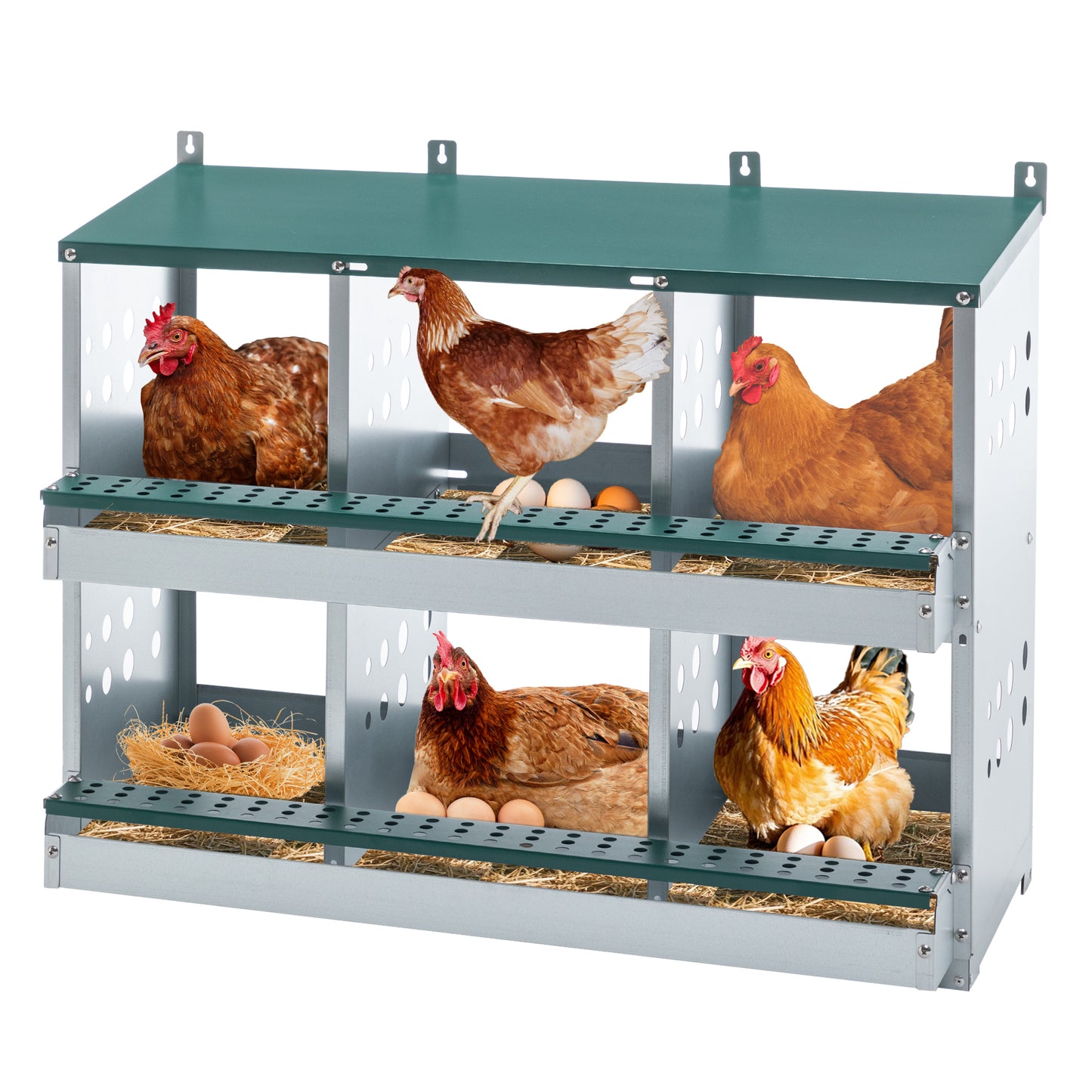 6-Compartment Chicken Nesting Box – Galvanized Poultry Nest Box for Small & Medium Flocks